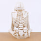 💀🎃No Evil Skeleton Figurine for Gothic & Halloween Decor