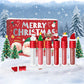 💄💋Christmas Sale 49% Off🎁Waterproof Long-Lasting Lip Gloss Set